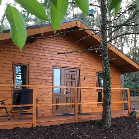 Butterfly Cabin Limerick Exterior photo