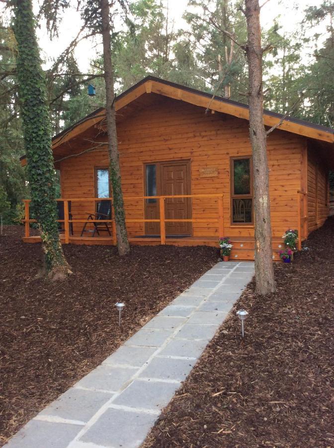 Butterfly Cabin Limerick Exterior photo